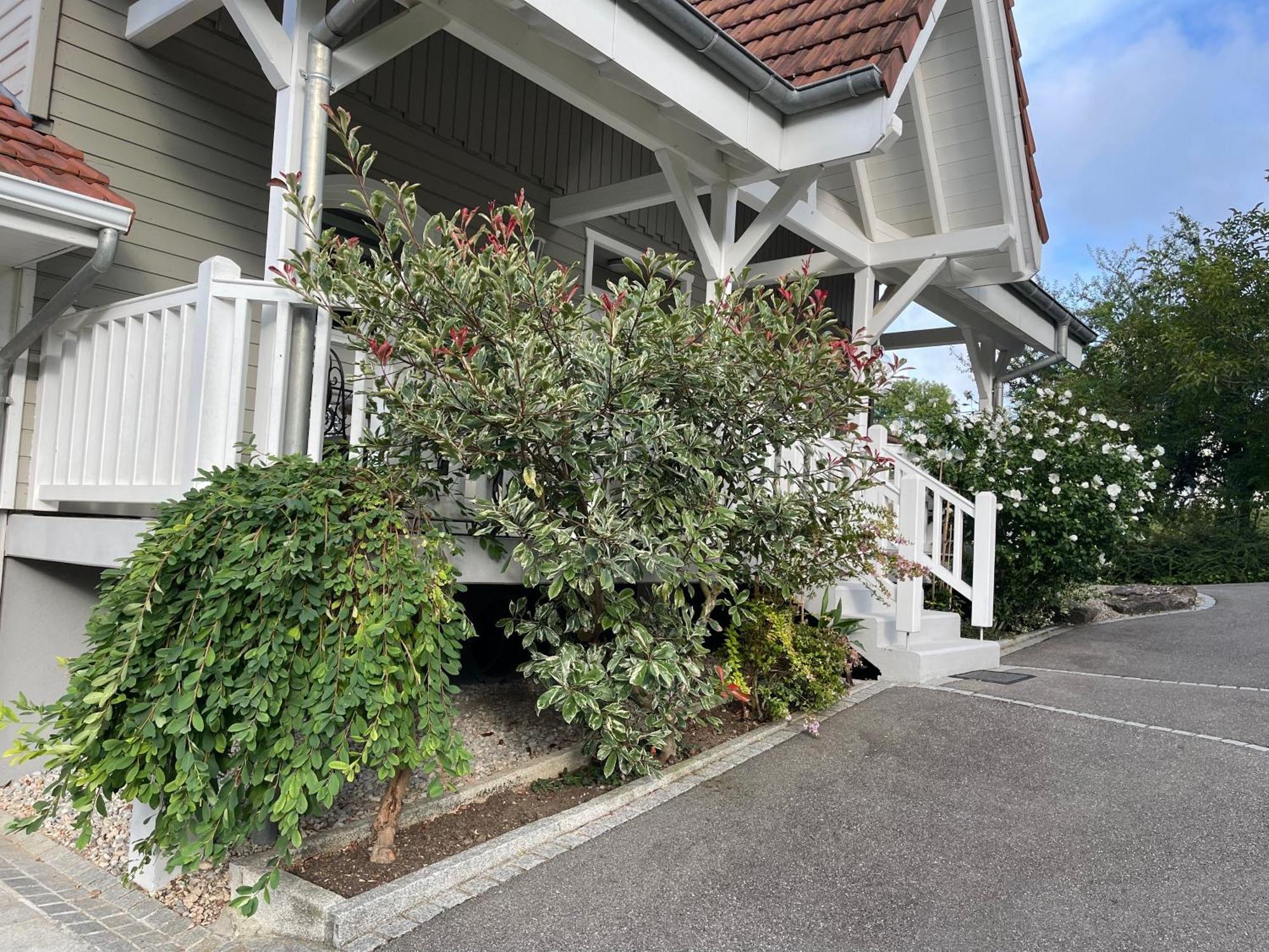 Tulipes Et Cetera Hotell Waldighoffen Exteriör bild